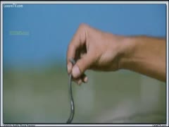 On a pubes, large earthworms play.